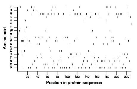 amino acid map