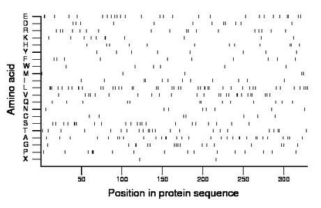 amino acid map