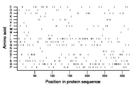 amino acid map