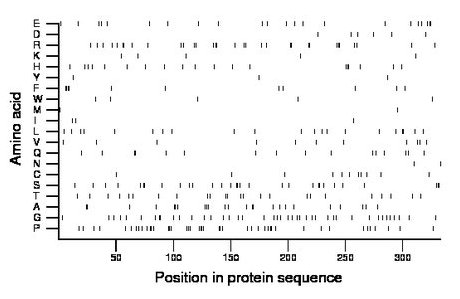 amino acid map