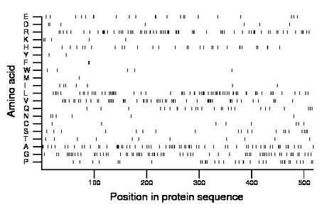 amino acid map