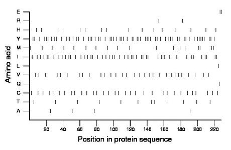 amino acid map