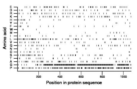 amino acid map