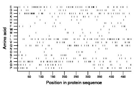 amino acid map