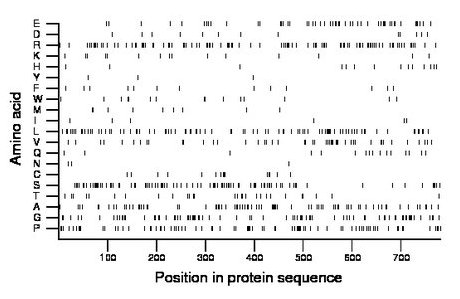 amino acid map