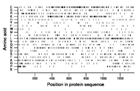 amino acid map