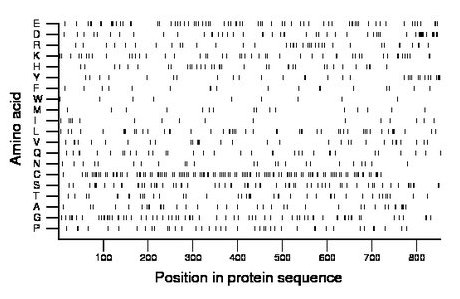 amino acid map