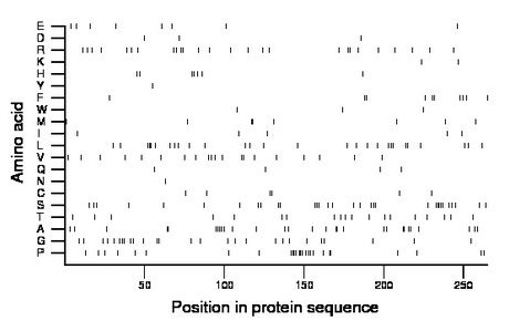 amino acid map