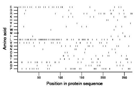 amino acid map