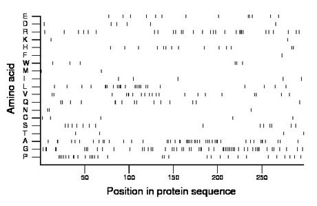 amino acid map