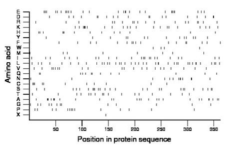 amino acid map