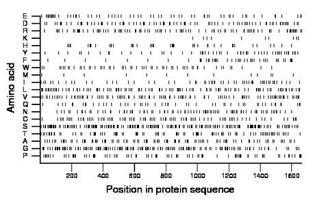 amino acid map