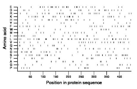 amino acid map