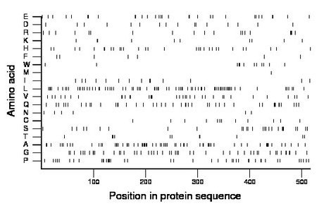 amino acid map