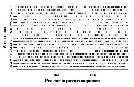 amino acid map