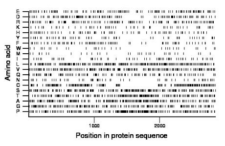 amino acid map