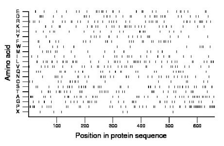 amino acid map