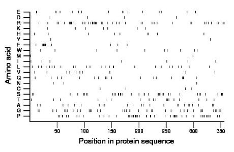 amino acid map