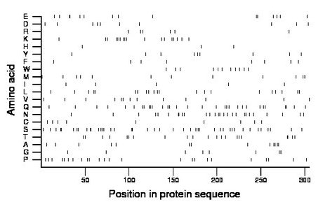 amino acid map