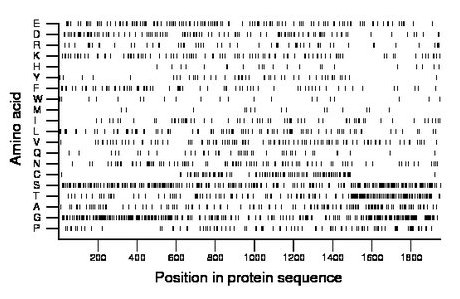 amino acid map