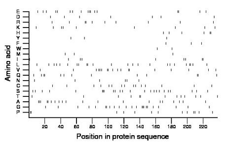 amino acid map