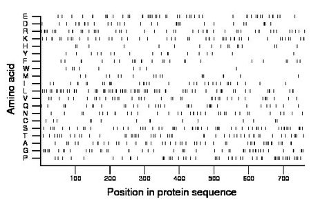 amino acid map