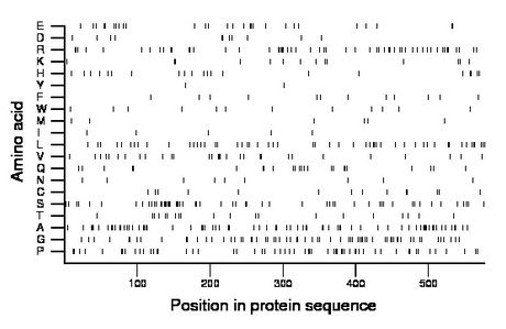 amino acid map