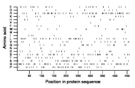 amino acid map