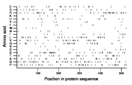 amino acid map