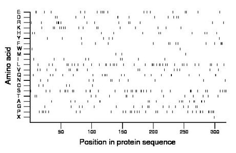 amino acid map