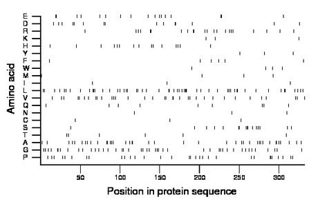 amino acid map