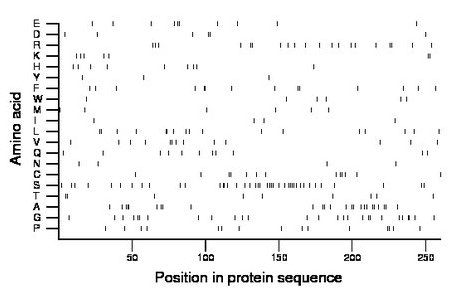 amino acid map