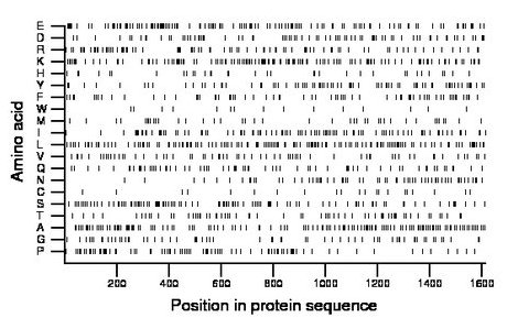 amino acid map