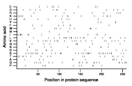 amino acid map