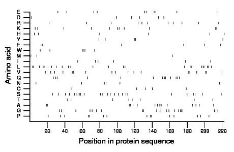 amino acid map