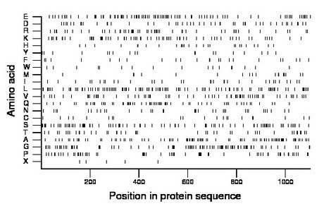 amino acid map