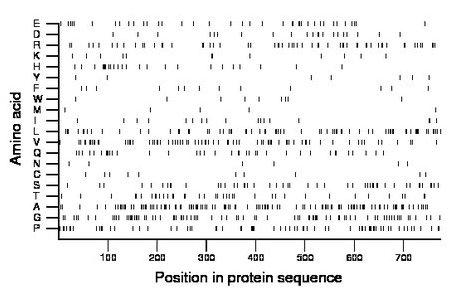 amino acid map