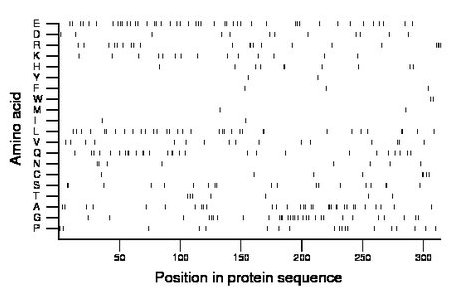 amino acid map