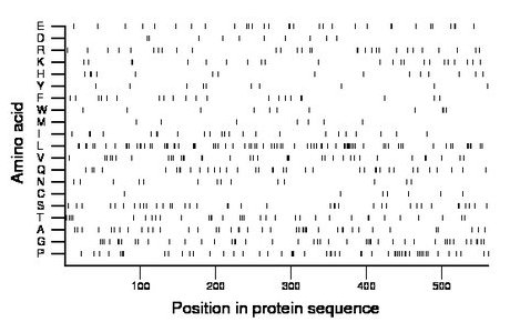 amino acid map