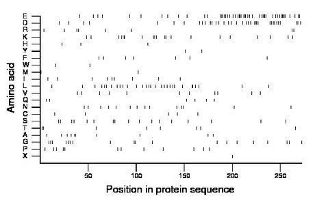 amino acid map