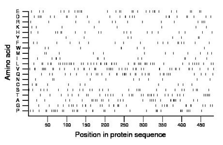 amino acid map