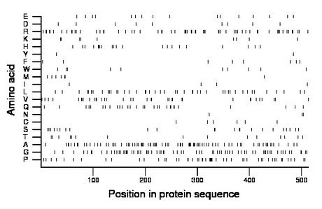 amino acid map