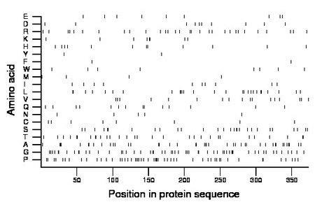 amino acid map