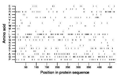 amino acid map