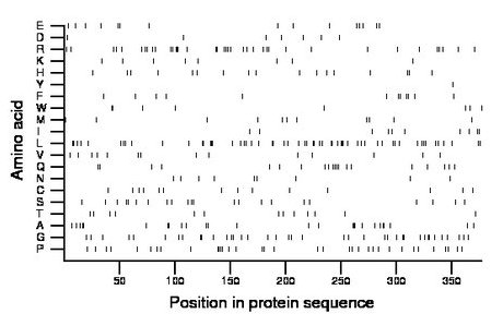 amino acid map