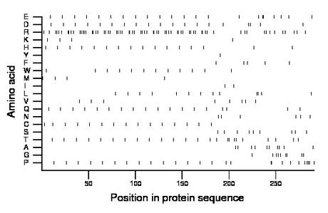 amino acid map