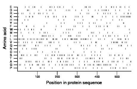 amino acid map