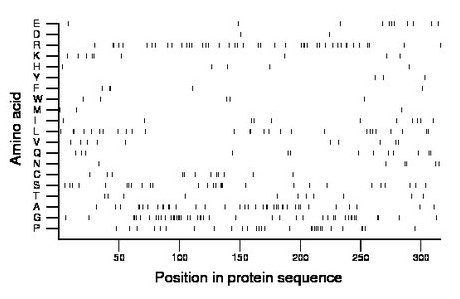 amino acid map