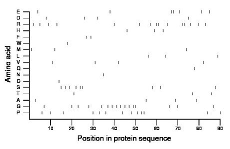 amino acid map