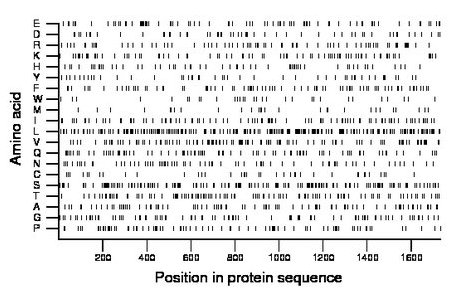 amino acid map